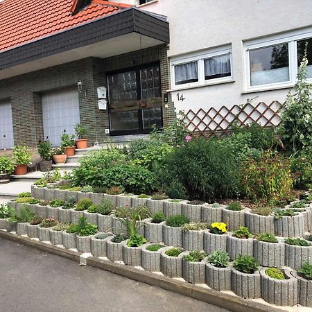 Ferienwohnung Domes-Kreuzer Bad Zwesten Exteriör bild