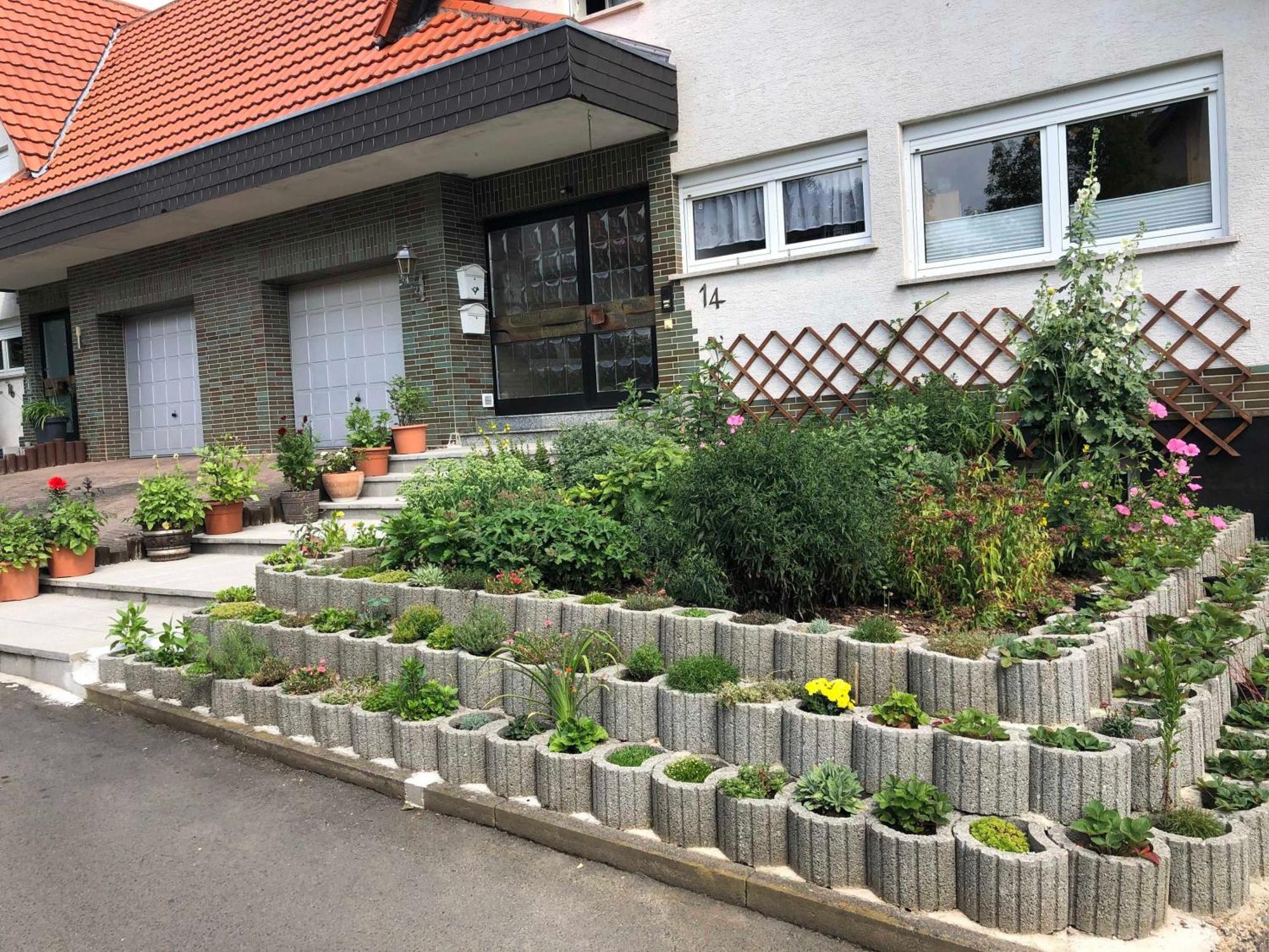 Ferienwohnung Domes-Kreuzer Bad Zwesten Exteriör bild